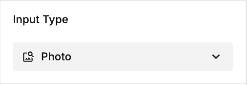 Select Input Type
