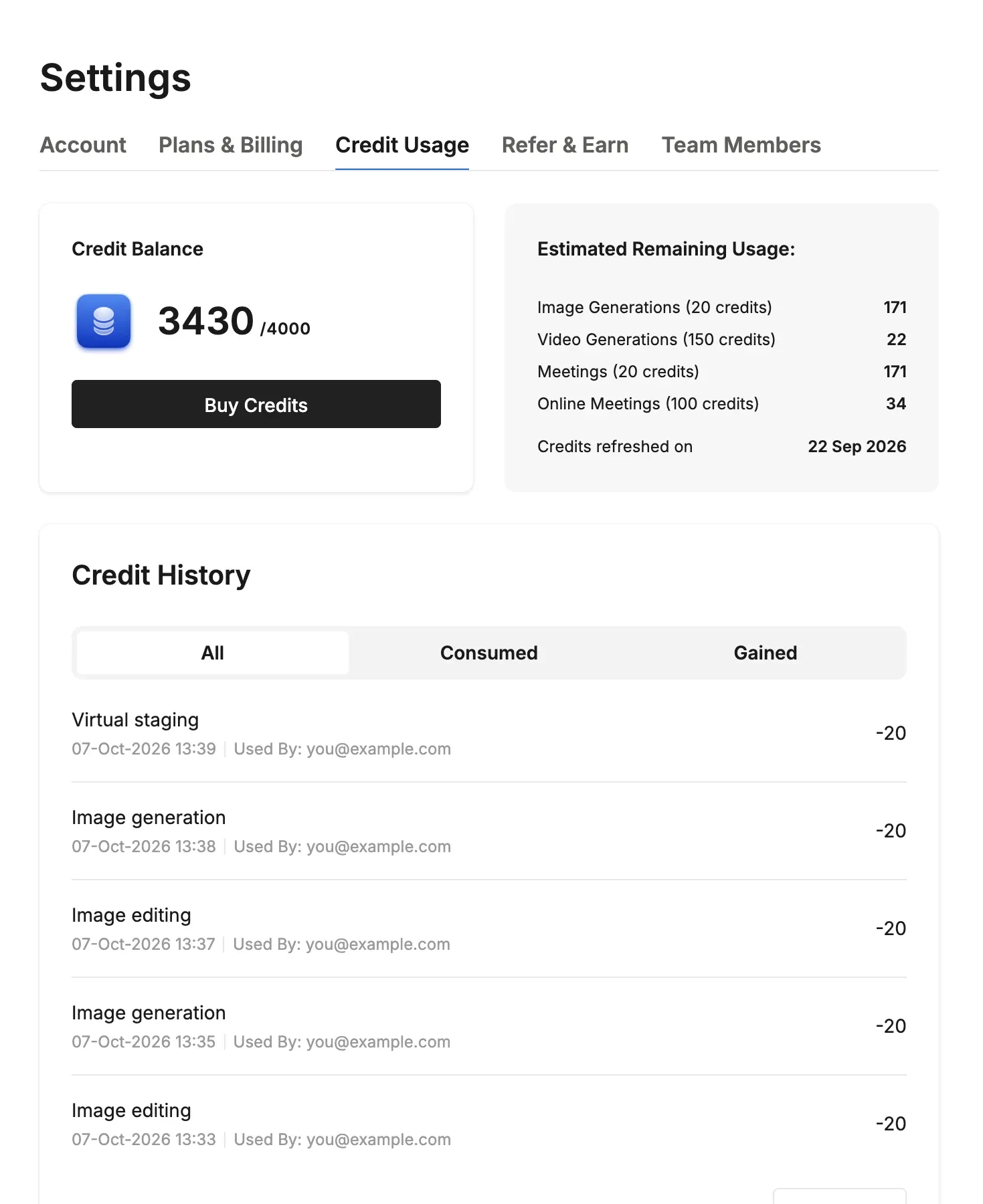The Credit Usage tab: credit balance, estimated remaining usage and credit history