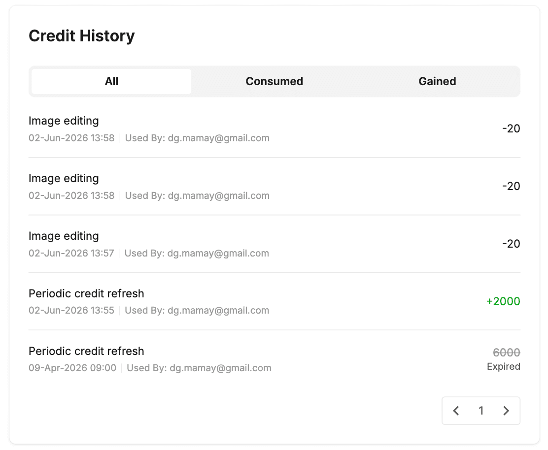 Credit History Section